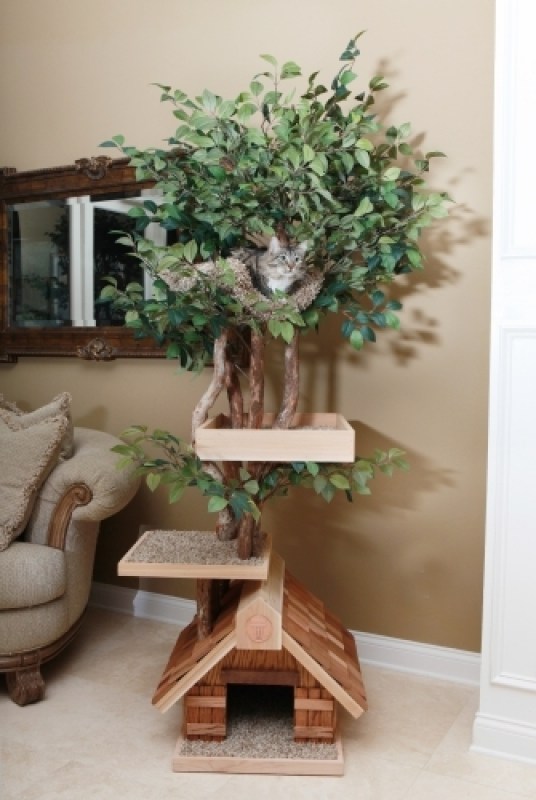 Adult medium Tree  Maggie